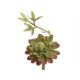 Sukulent artficial pentru aranjamente florale model 3