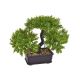 model 3 - Bonsai artificial+ghiveci pentru decoratiuni florale