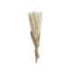 Buchet 20 Fire Flori Uscate Pentru Aranjamente Florale
