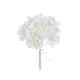 model 1 - Buchet 6 trandafiri+dantela color pentru aranjamente florale