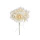 model 2 - Buchet 6 trandafiri+dantela color pentru aranjamente florale