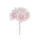 model 4 - Buchet 6 trandafiri+dantela color pentru aranjamente florale