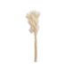 Buchet 60 Fire Lagurus Pentru Aranjamente Florale