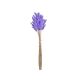 model 2 - Buchet lagurus flori uscate color pentru aranjamente florale
