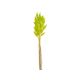 model 4 - Buchet lagurus flori uscate color pentru aranjamente florale