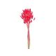 model 7 - Buchet lagurus flori uscate color pentru aranjamente florale