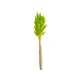 model 10 - Buchet lagurus flori uscate color pentru aranjamente florale