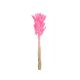 model 11 - Buchet lagurus flori uscate color pentru aranjamente florale