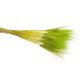 model 3 - Buchet spice color pentru aranjamente florale