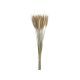 model 7 - Buchet spice color pentru aranjamente florale