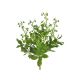 model 2 - Buchet verdeata artificiala+bobite pentru aranjamente florale