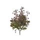 model 4 - Buchet verdeata artificiala+bobite pentru aranjamente florale