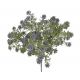 Buchet Verdeata+floricele Artificiale