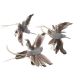 model 3 - Colibri pene color pentru aranjamente florale set 3 buc