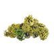model 2 - Conuri brad pentru aranjamente florale