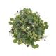 Coronita Brad Artificial+eukalipt+con Pentru Decoratiuni Florale