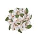 model 2 - Coronita magnolie artificiala pentru aranjamente florale