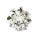 model 1 - Coronita magnolie color+zapada+gheata pentru decoratiuni florale