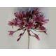model 2 - Crenguta agapanthus artificial pentru aranjamente florale