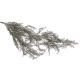model 2 - Crenguta asparagus artificiala pentru aranjamente florale