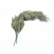 model 1 - Crenguta asparagus artificiala pentru aranjamente florale