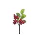 model 6 - Crenguta bobite color pentru aranjamente florale