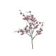 Crenguta Bobite Rosii + Zapada 38 Cm Pentru Aranjamente Florale