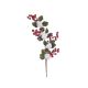 Crenguta Frunze+bobite Rosii+bumbac+con Pentru Aranjamente Florale