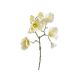 model 2 - Crenguta magnolie artificiala pentru aranjamente florale