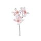 Crenguta Magnolie Din Flori Artificiale+sclipici