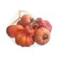 model 1 - Dovlecei artificiali color pentru aranjamente florale set 6 buc