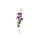 model 5 - Eustoma din flori artificiale