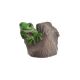 Figurina Broscuta Pentru Decoratiuni Florale
