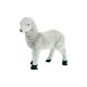 model 2 - Figurina oita pentru decoratiuni florale