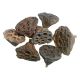 Flori Lotus 4-6 Cm Pentru Aranjamente Florale Set 50 Buc