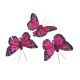Fluturi Pene Color Pentru Aranjamente Florale Set 24 Buc