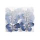 model 1 - Fluturi pene pentru aranjamente florale set 6 buc