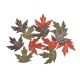 model 2 - Frunze lemn color pentru aranjamente florale set 12 buc