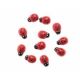 Gargarite Pentru Aranjamente Florale Set 12 Buc