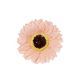 model 10 - Gerbera sapun pentru aranjamente florale set 50 buc