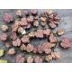model 1 - Ghirlanda frunze artificiale pentru aranjamente florale set 6 buc