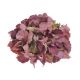 model 4 - Hortensie artificiala pentru aranjamente florale