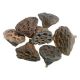 Lotus Artificial Pentru Aranjamente Florale Set 10 Buc