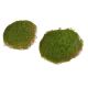 Muschi Artificial Pentru Decoaratiuni Florale Set 6 Buc