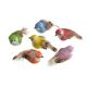 Pasari Color Pentru Aranjamente Florale Set 12 Buc