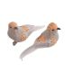 model 1 - Pasari pene color pentru aranjamente florale set 2 buc