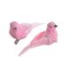 model 2 - Pasari pene color pentru aranjamente florale set 2 buc