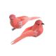 model 3 - Pasari pene color pentru aranjamente florale set 2 buc