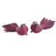model 1 - Pasari pene color pentru aranjamente florale set 2 buc