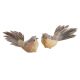 model 4 - Pasari pene color pentru aranjamente florale set 2 buc